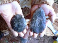 Stone tools influenced hand