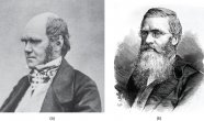 Pictures of Charles Darwin and