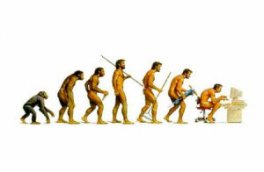 2011-01-04-11-22-06-6-human-beings-and-chimpanzees-evolved-from-a-common