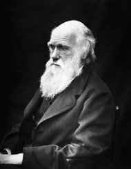 467px-Charles_Darwin_01.jpg