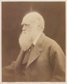 'Charles Darwin, Naturalist', 1868, Julia Margaret Cameron, The Royal Photographic Society Collection © National Media Museum, Bradford / SSPL. Creative Commons BY-NC-SA