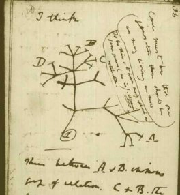 Charles-Darwin-Tree-of-Life