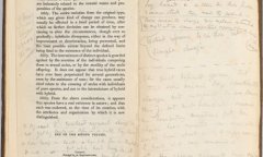 Charles Darwin's annotated copy of Charles Lyell's Principles of Geology