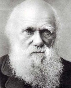 Darwin in old age