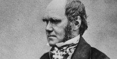 Charles Darwin determinism