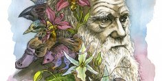 Short Biography of Charles Darwin