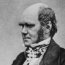 Charles Darwin determinism