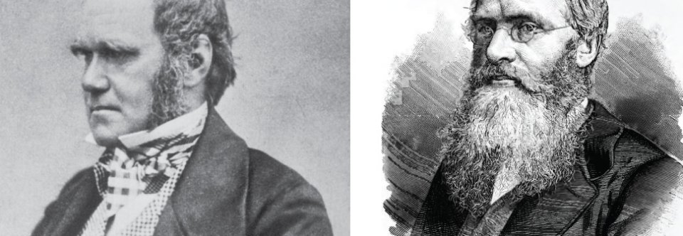 Charles Darwin and Alfred Wallace