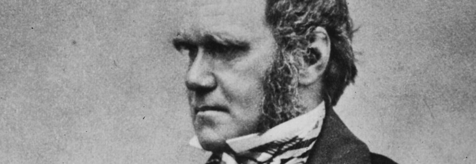 Charles Darwin determinism