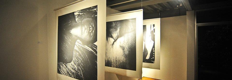 Charles Darwin irregularities