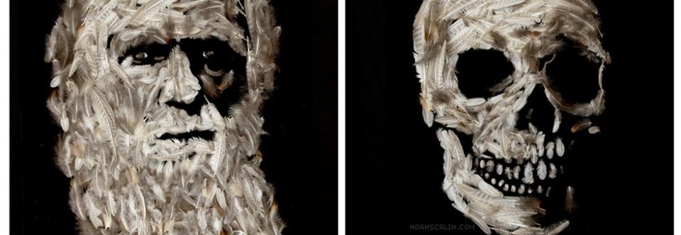 Charles Darwin natural selection for Kids