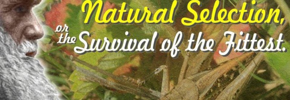 Charles Darwin theory on survival