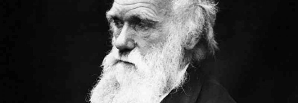 Degeneration Charles Darwin