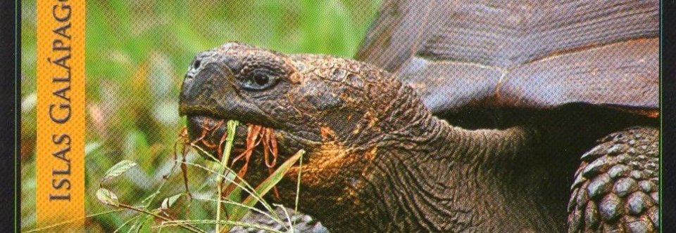 Galapagos Islands Charles Darwin