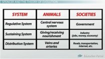 Society Like Animals