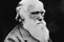 Charles Darwin Biography Schooling