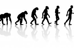 Charles Darwin evolution animals