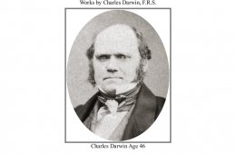 Charles Darwin SparkNotes