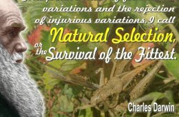 Charles Darwin theory on survival