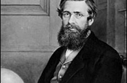 Darwin Wallace theory of evolution