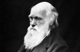 Degeneration Charles Darwin