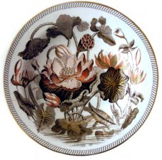 Wedgewood's Water Lily pattern which the Darwin's used